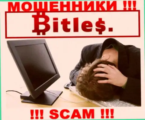 Не угодите в лапы к internet мошенникам Bitles Eu, т.к. рискуете остаться без вложенных денежных средств