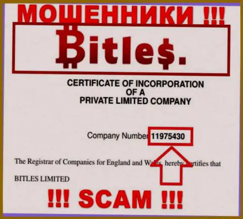Номер регистрации интернет-аферистов Bitles, с которыми не стоит сотрудничать - 11975430
