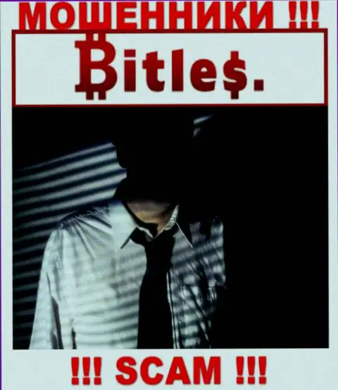 Компания Bitles Limited прячет свое руководство - РАЗВОДИЛЫ !