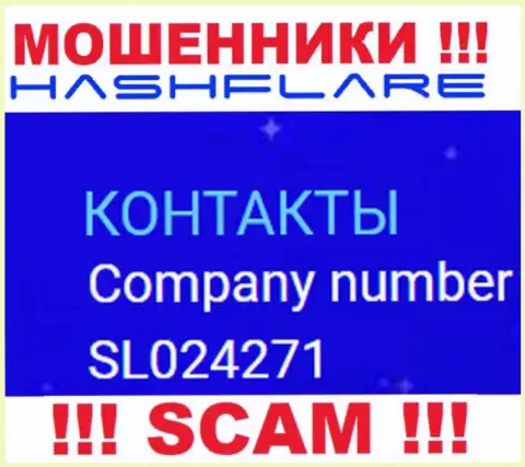 Регистрационный номер, под которым официально зарегистрирована компания ХэшФлэер: SL024271