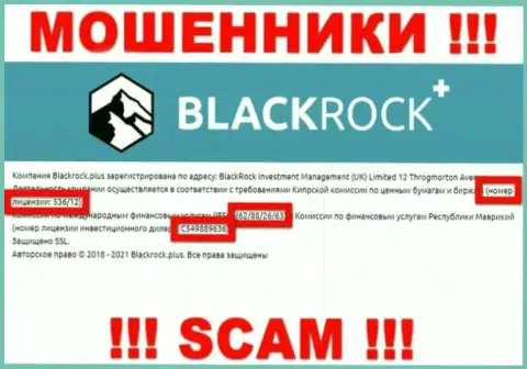 Black Rock Plus скрывают свою жульническую суть, предоставляя у себя на информационном сервисе лицензию
