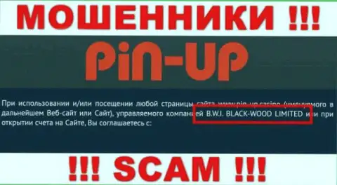Воры Pin Up Casino принадлежат юридическому лицу - B.W.I. BLACK-WOOD LIMITED