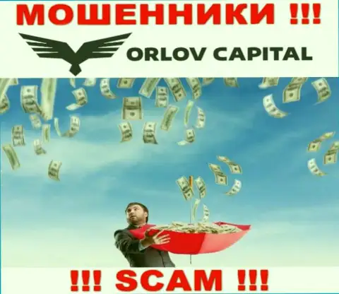 Orlov Capital стараются развести на взаимодействие ? Будьте весьма внимательны, лохотронят