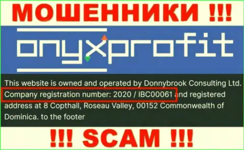 Регистрационный номер, который присвоен компании Оникс Профит - 2020 / IBC00061