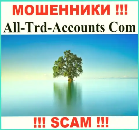 All Trd Accounts прикарманивают деньги и остаются без наказания - они скрыли информацию о юрисдикции