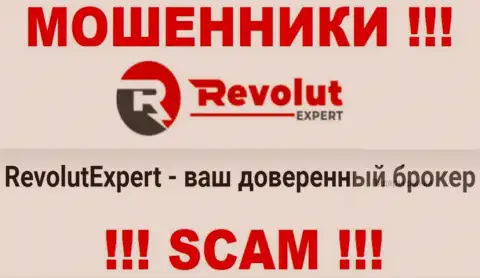 Кидалы RevolutExpert Ltd представляются профессионалами в сфере Брокер
