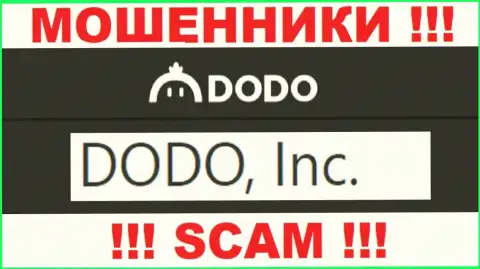DodoEx - лохотронщики, а владеет ими DODO, Inc