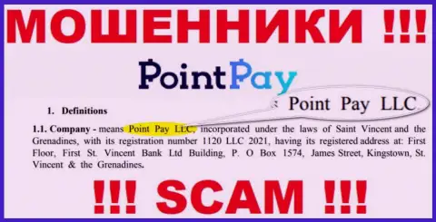 Point Pay LLC - организация, которая управляет internet-ворюгами ПоинтПей
