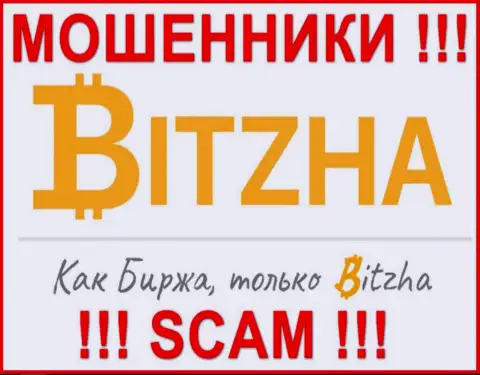Bitzha24 - это МОШЕННИКИ !!! Финансовые активы назад не выводят !!!