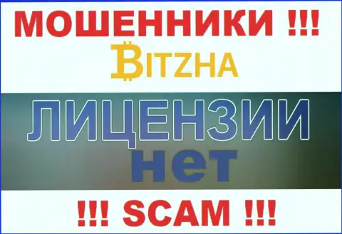 Лохотронщикам Bitzha24 Com не дали лицензию на осуществление их деятельности - воруют вклады
