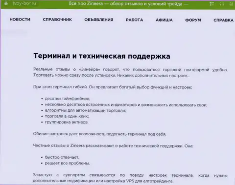 Детальный обзор функционала официального онлайн-сервиса компании Зиннейра в обзоре на web-сервисе Tvoy-Bor Ru