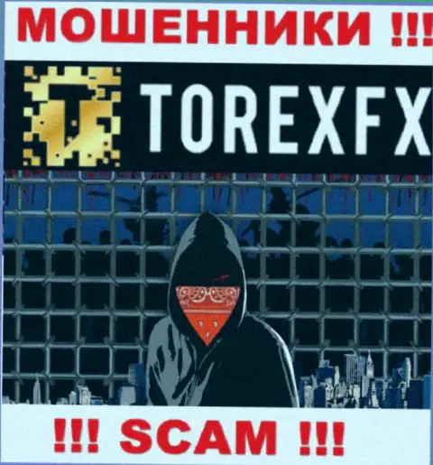 TorexFX скрывают сведения об Администрации конторы
